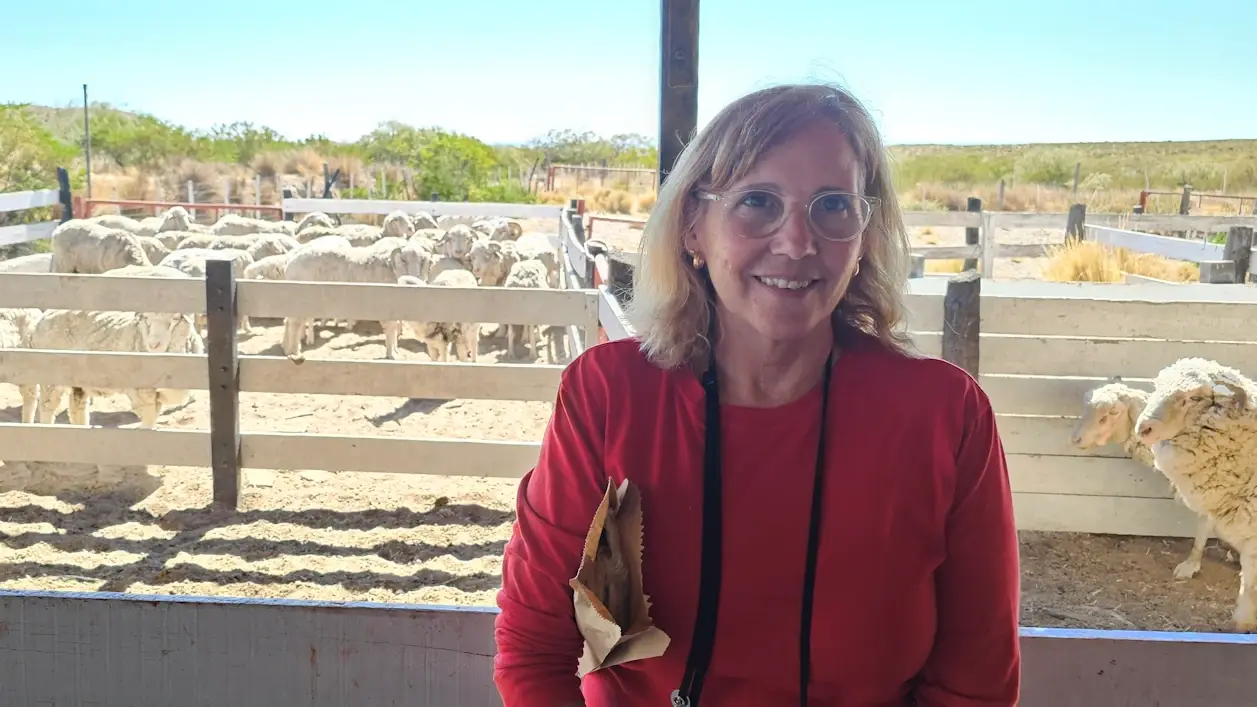 Sheep pens at the Estancia San Guillermo