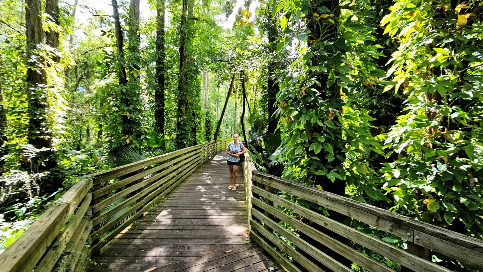 Eureka Springs Park boardwalk to the spring