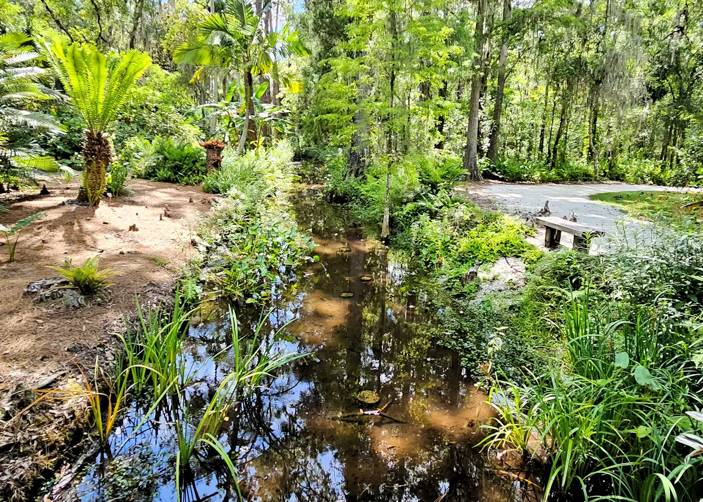 Eureka Springs creek