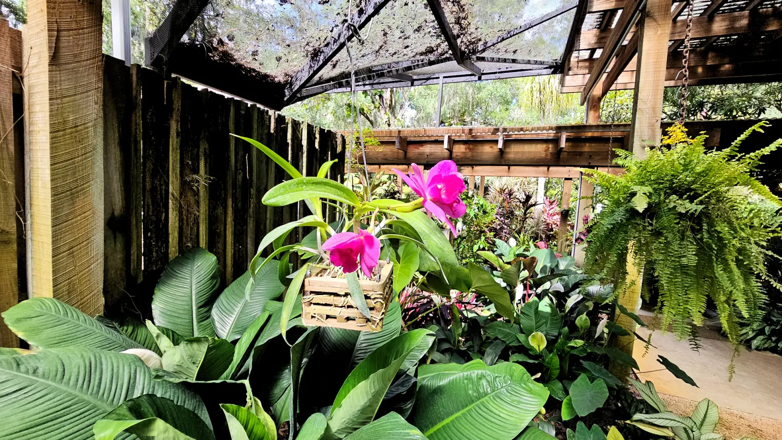 Eureka Springs Park shade house