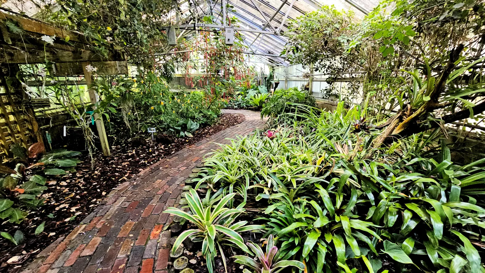 Eureka Springs Park greenhouse