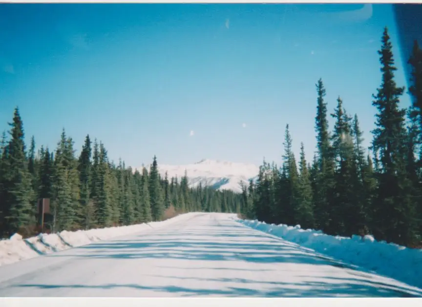 The road inside Denali National Park.