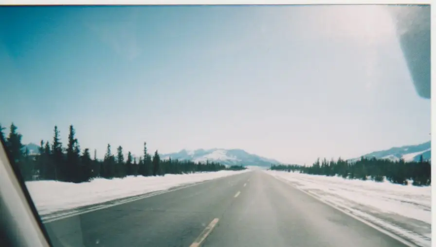 The highway to Denali from Fairbanks