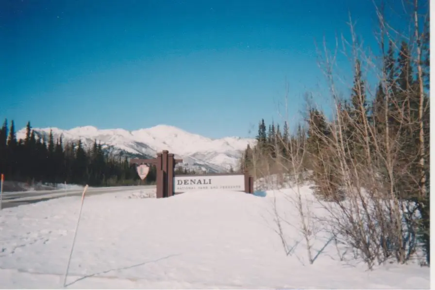 The highway to Denali from Fairbanks