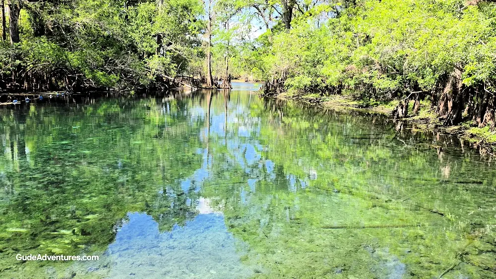 Stream from the springs to the Suwannee River.
