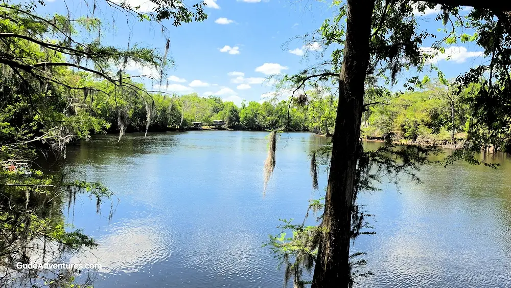 Suwannee River from the boardwalk in the park.