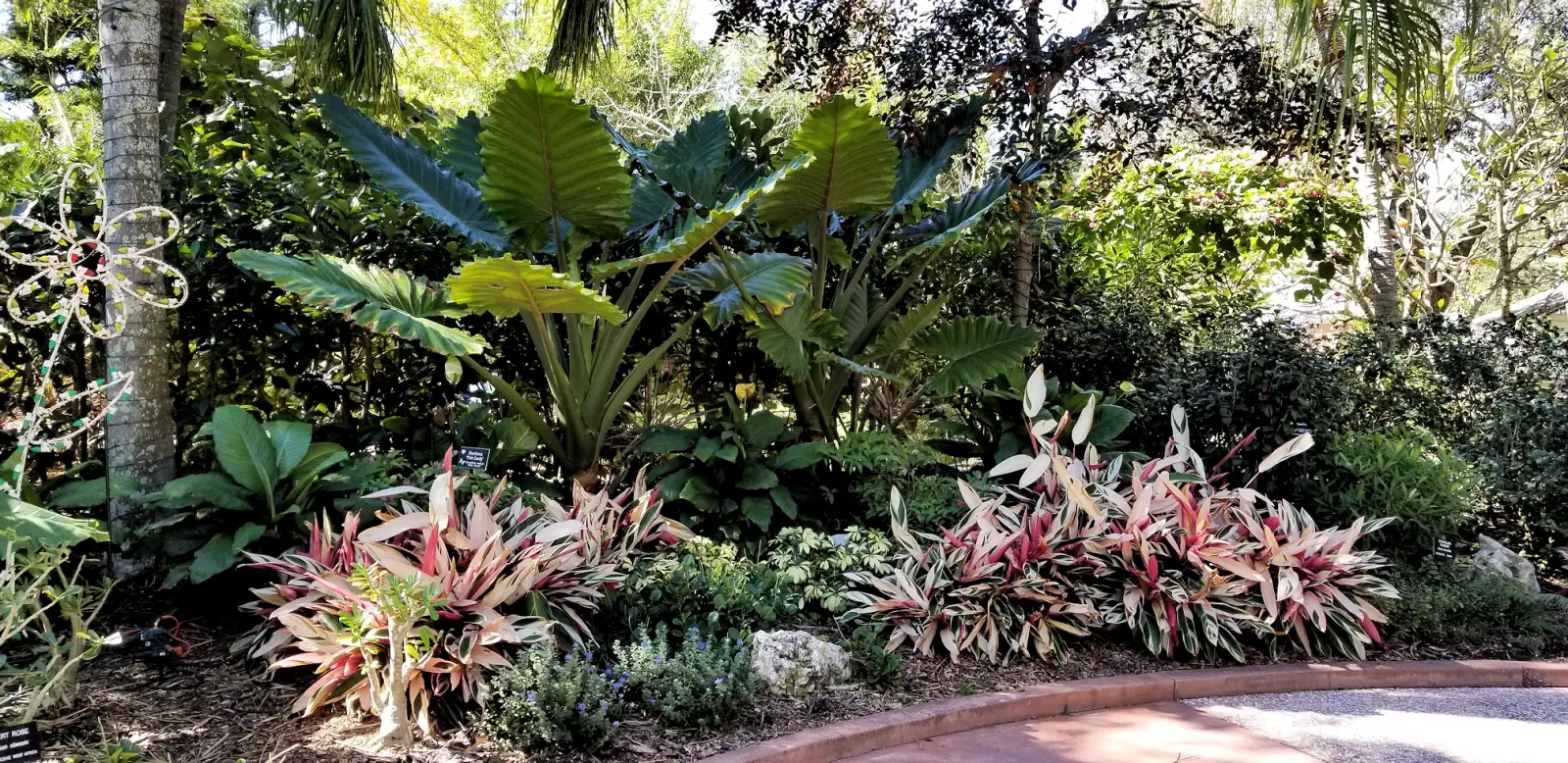 Florida Botanical Gardens walkway