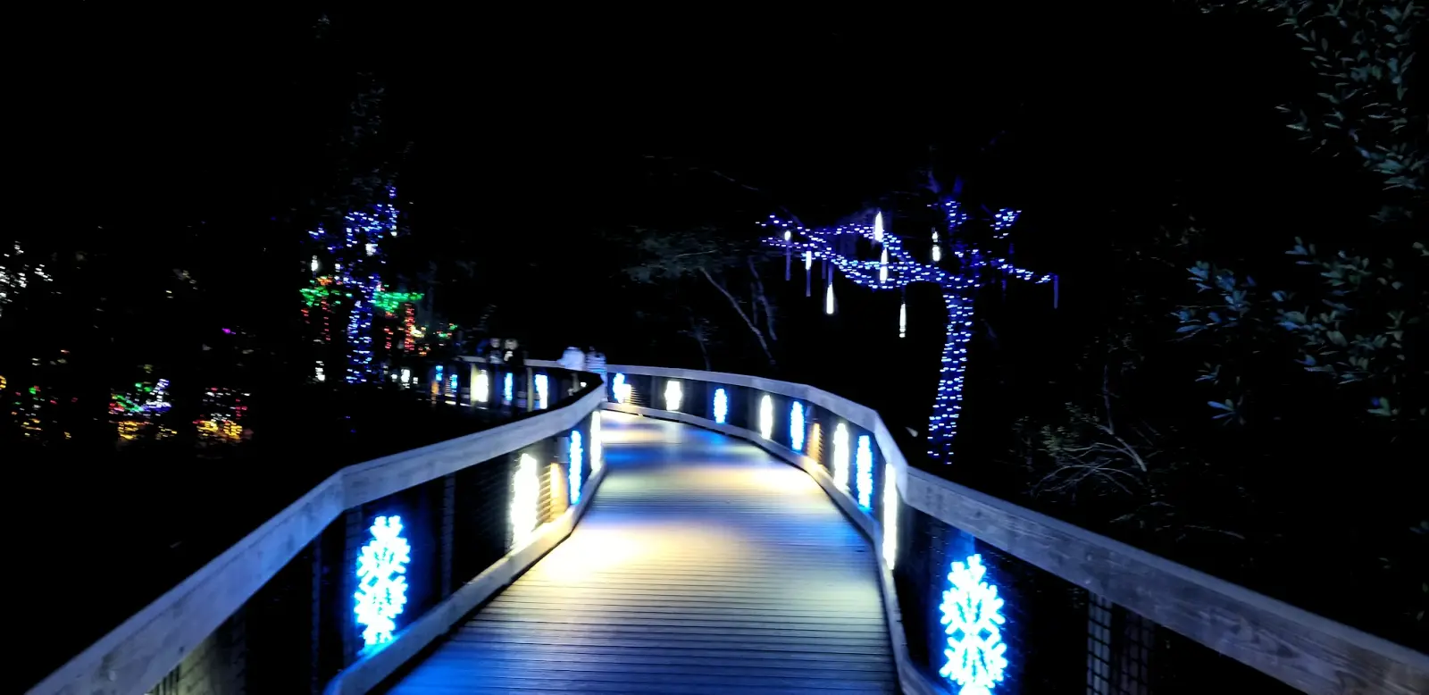 Holiday Lights in the Gardens boardwalk