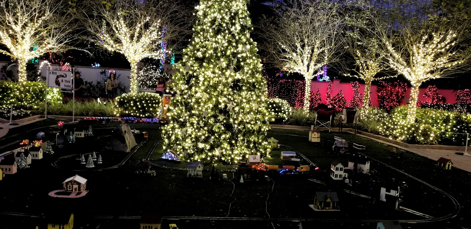 Holiday Lights in the Gardens