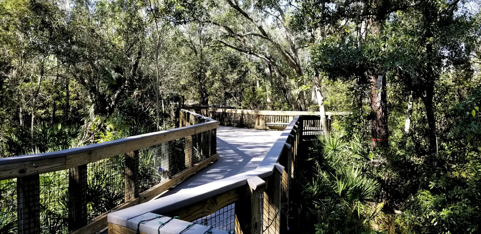 Florida Botanical Gardens boardwalk through a Cypress swamp