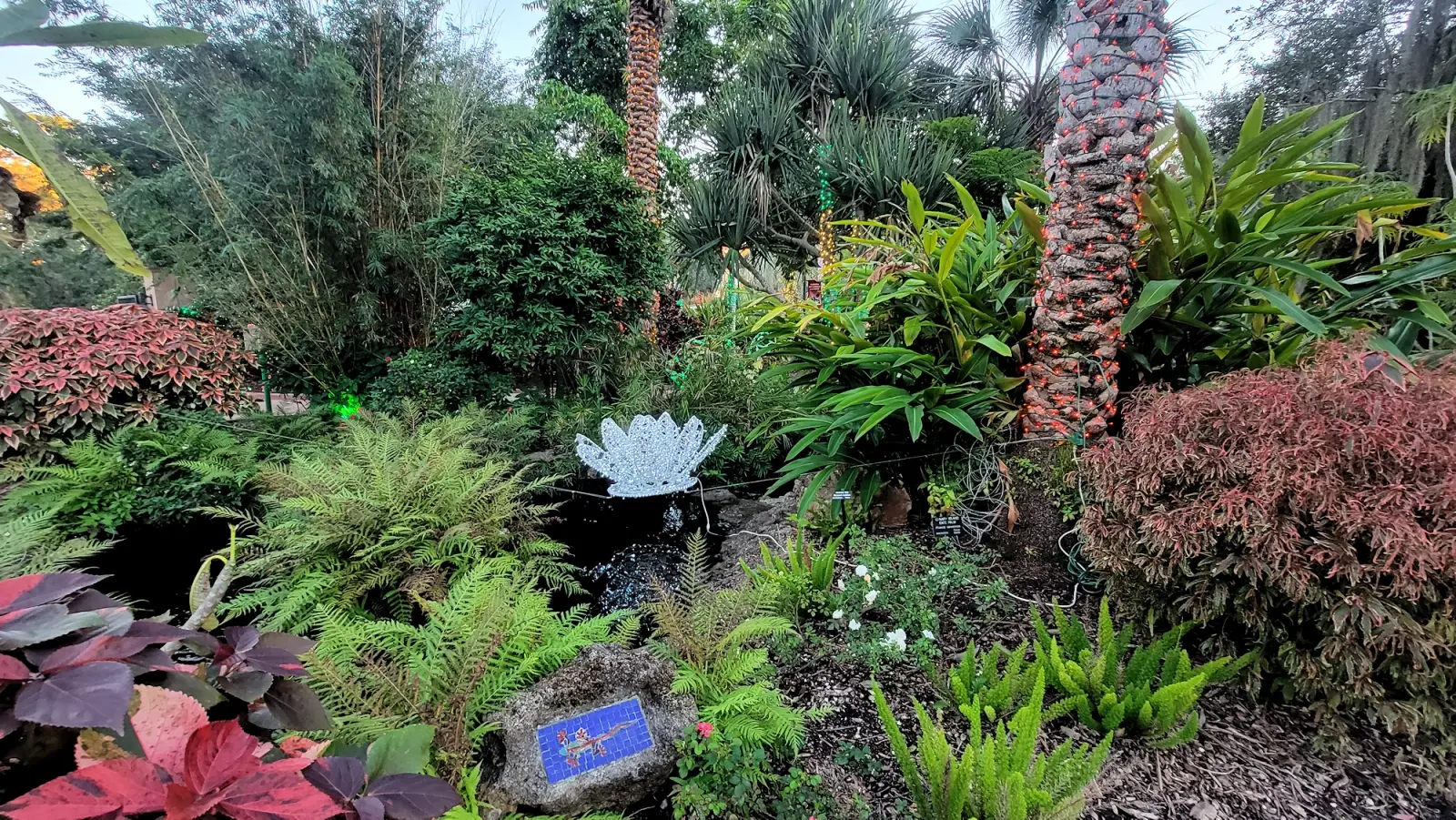 Florida Botanical Gardens plants