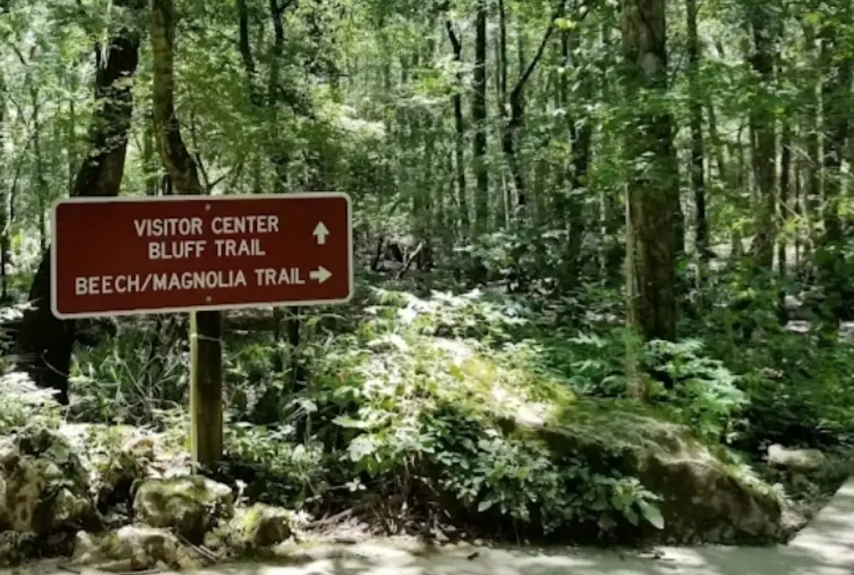 Hiking trails at the Florida Caverns State Park