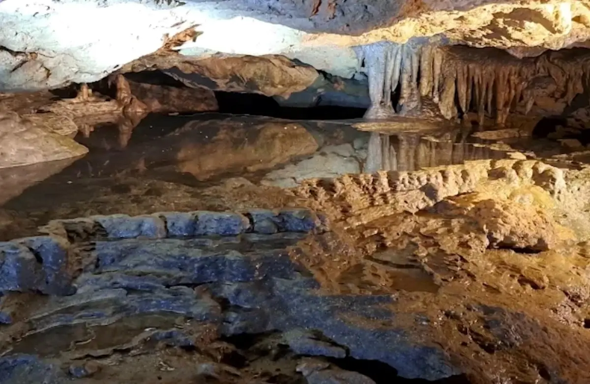 Hiking trails at the Florida Caverns State Park