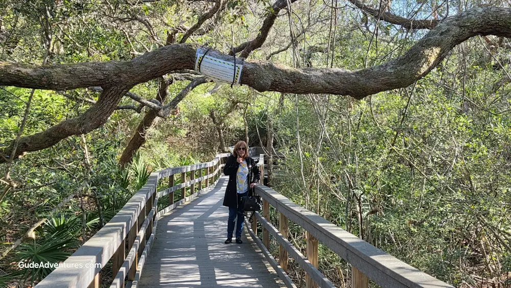 Boardwalk on hiking trail at Fort Matanzas