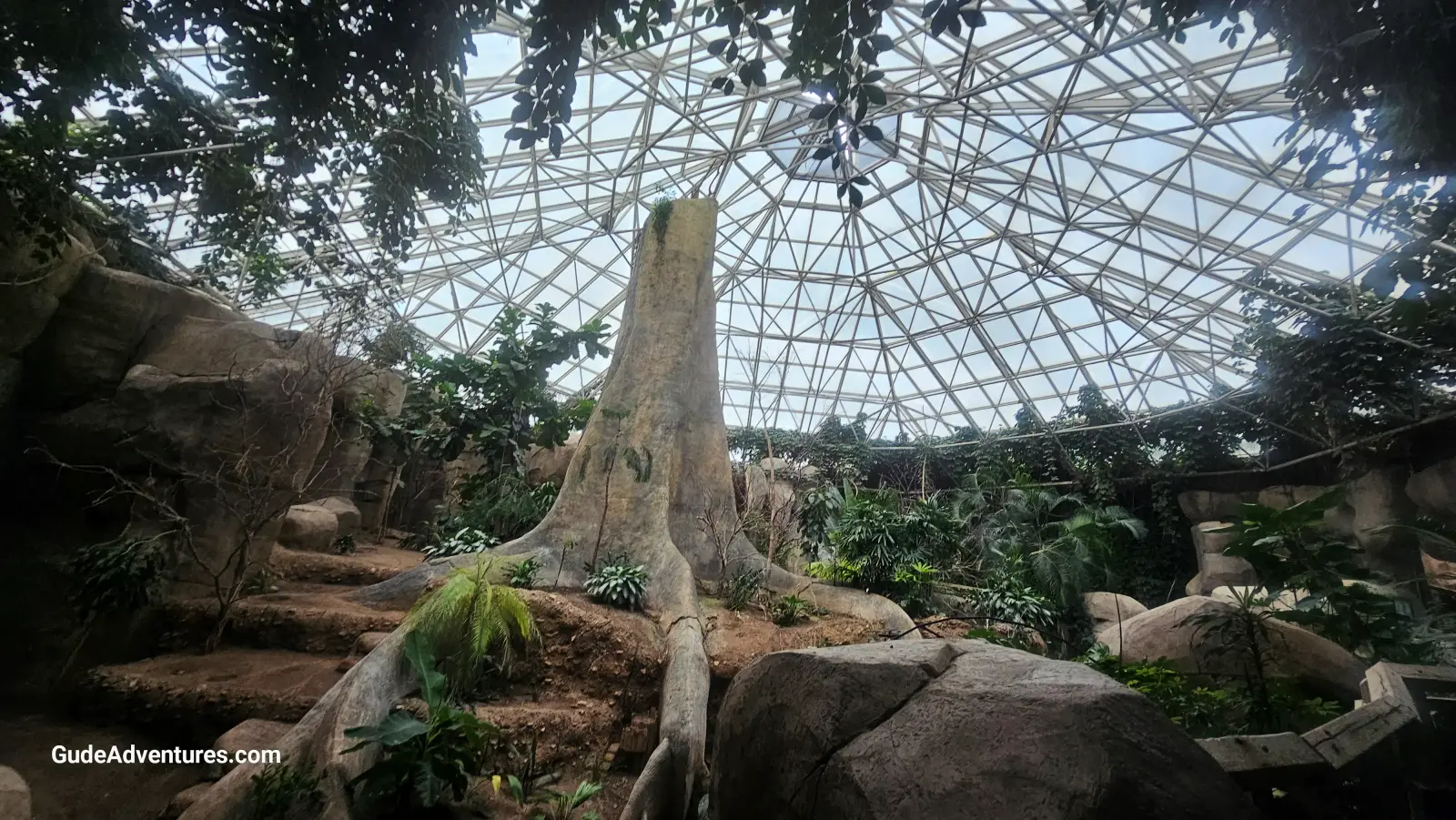 Aviary in the Fort Worth Zoo