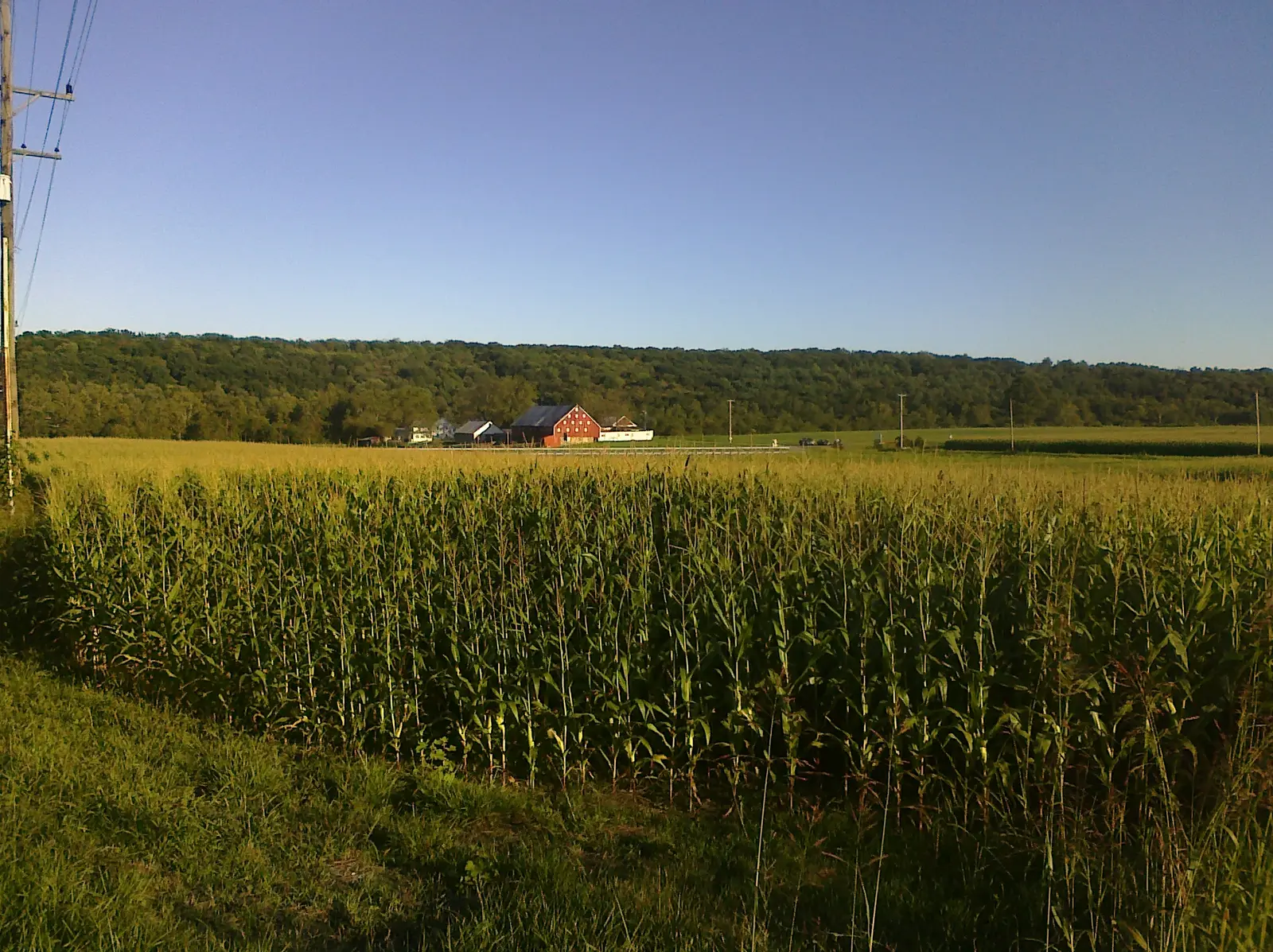 One of the many farms surrounding Frederick