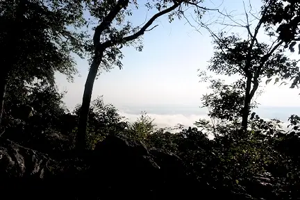 View from the mountain top in the Frederick Municipal Forest