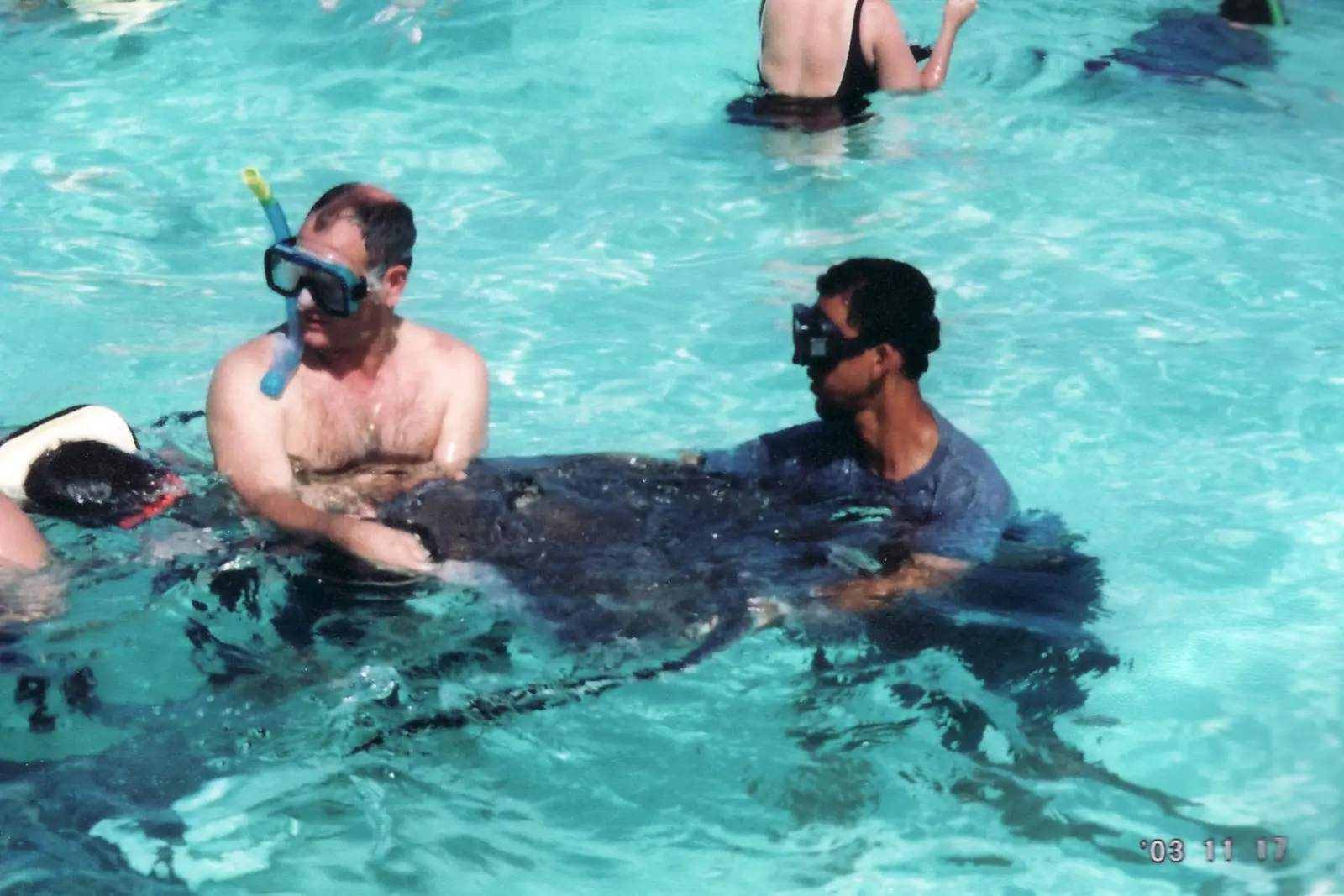 stingray-city-grand-cayman.jpg