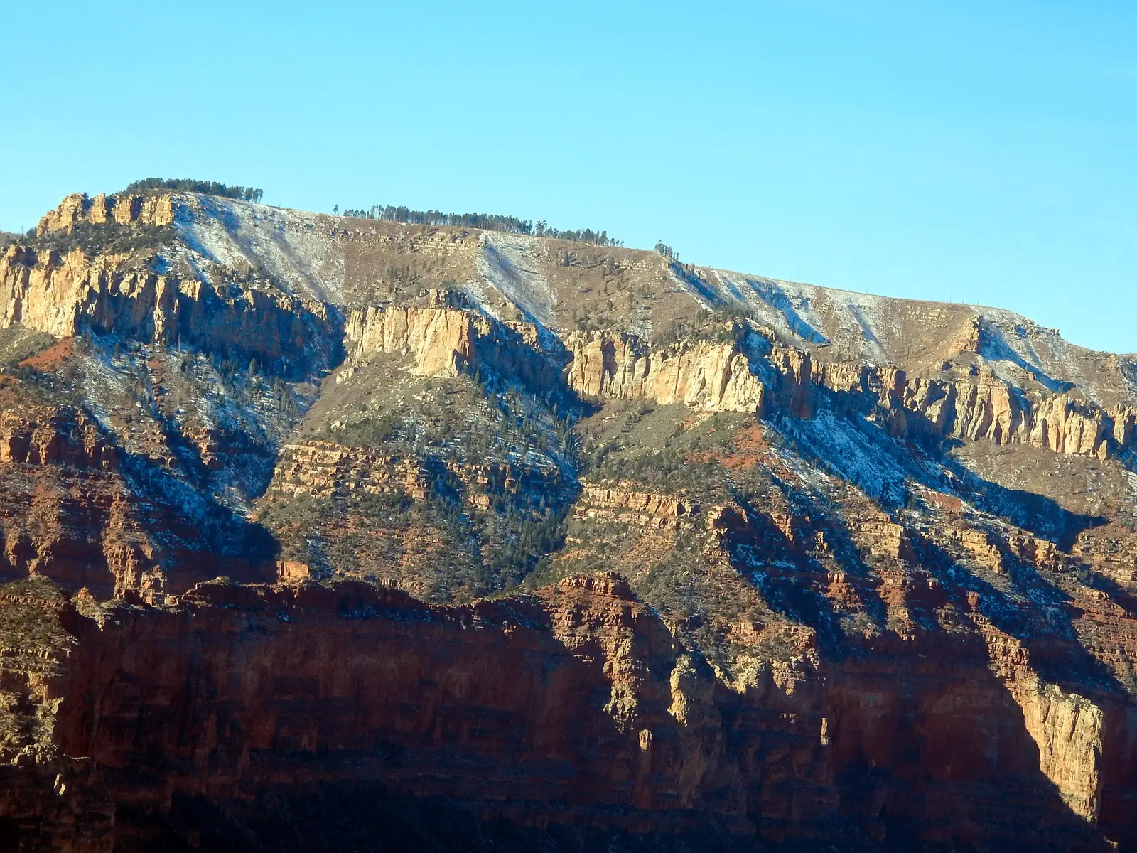 North Rim of the Grand Canyon