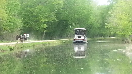 Canal Boat being puled through the C and O canal by horses on the towpath