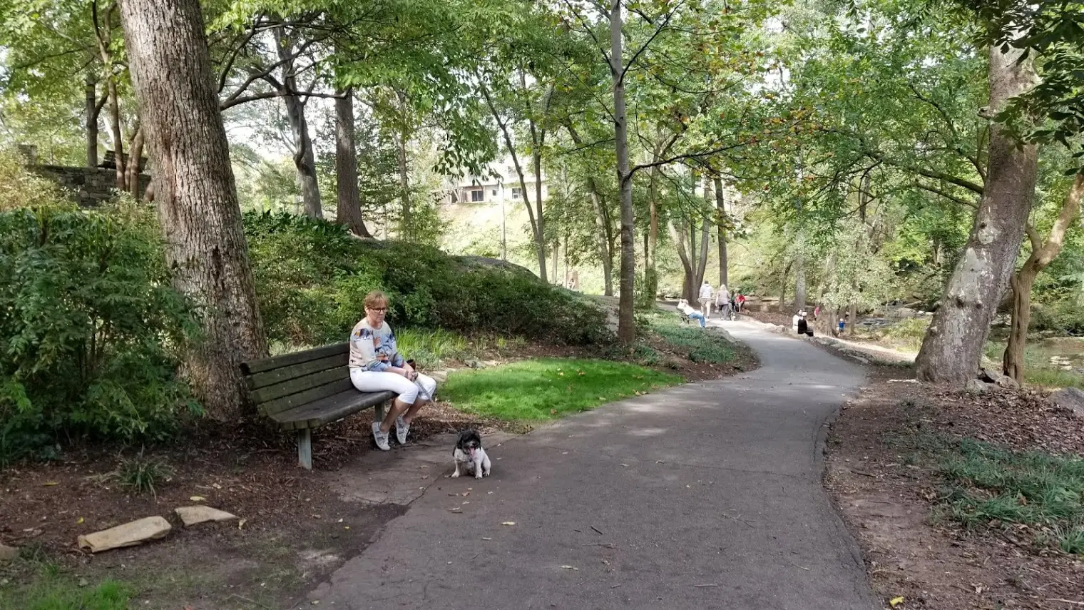 Falls Park on the Reedy