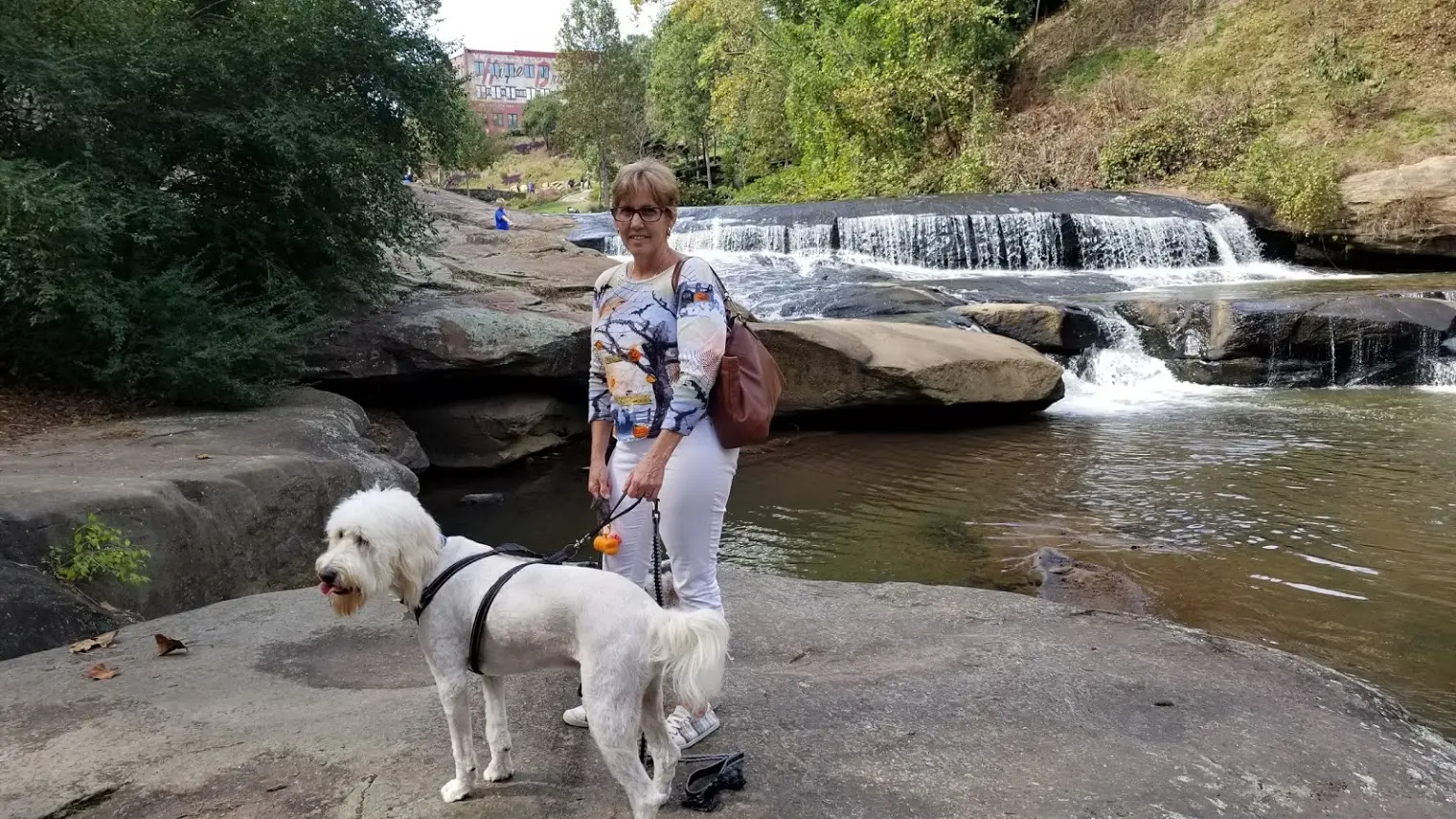 Falls Park on the Reedy