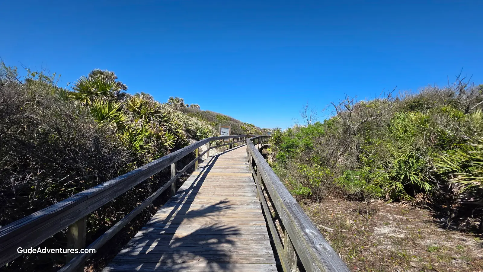 Boardwalk in the Guana Reserve