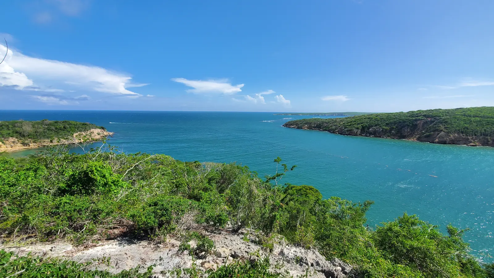 Guánica harbor