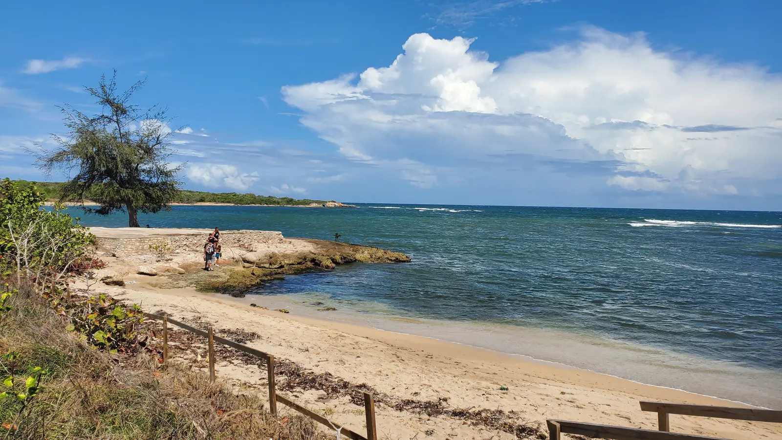 The beach at Guánica 