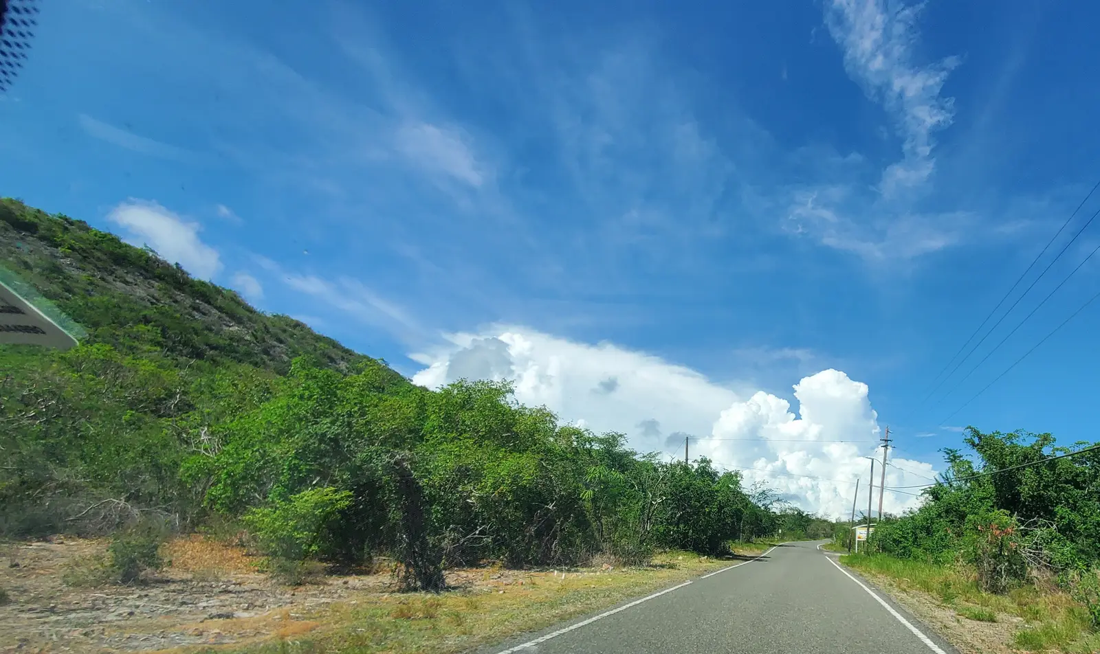 Road through the dry forest
