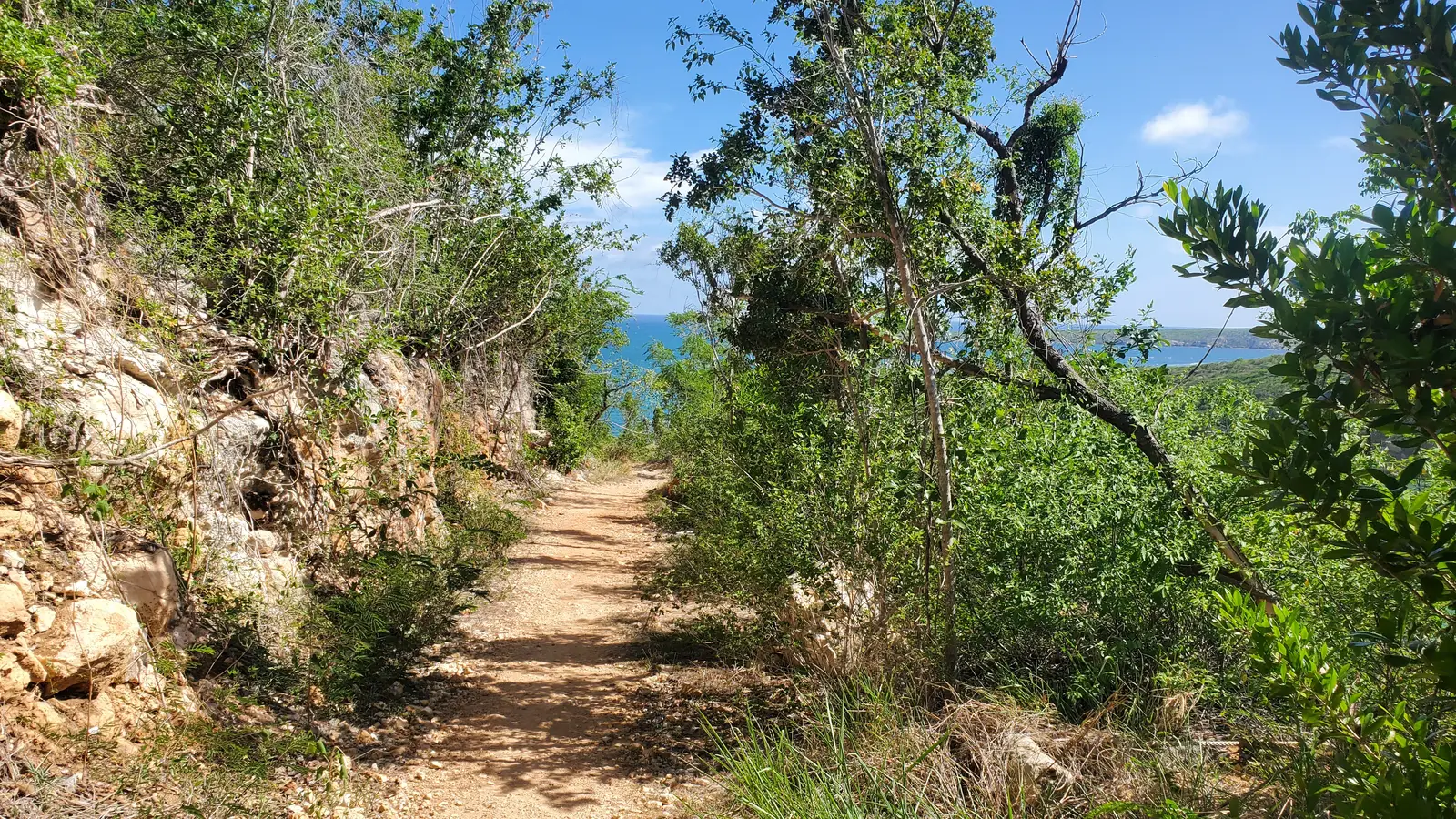 Guánica trail