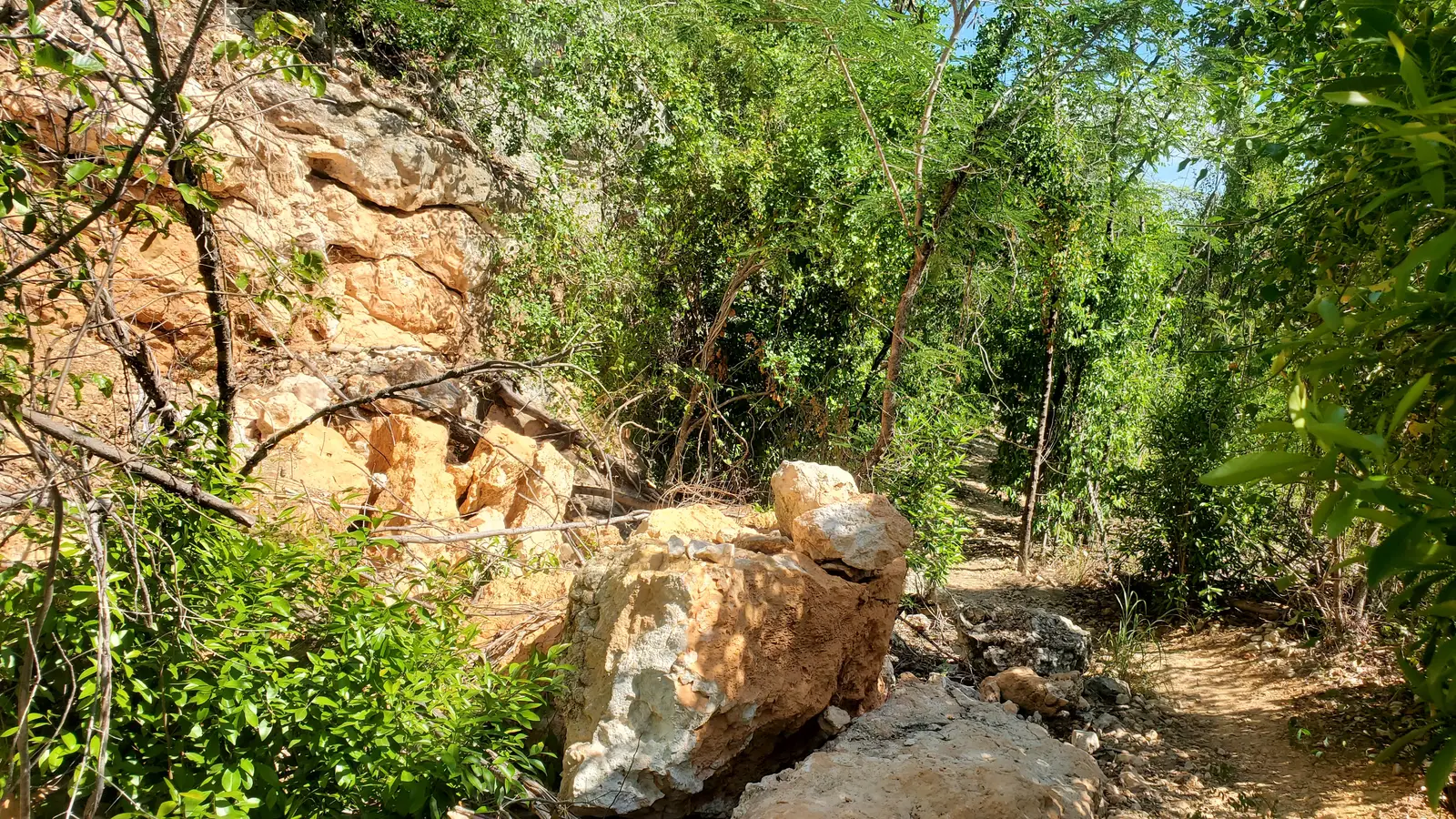 Guanica rock slide from earthquake