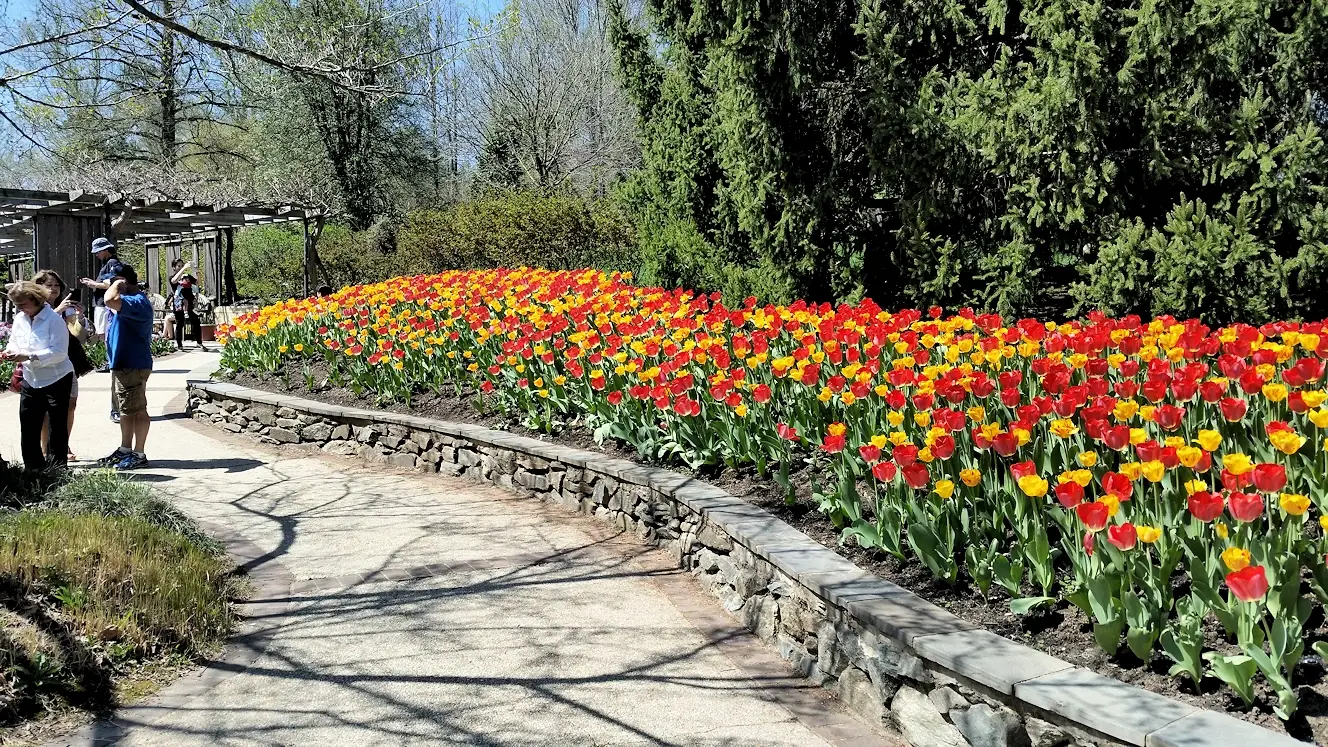 Flower beds in Gude Gardens