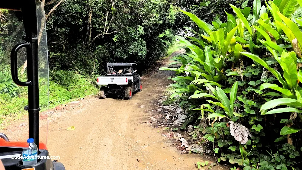 UTV ride up the mountain from the parking area