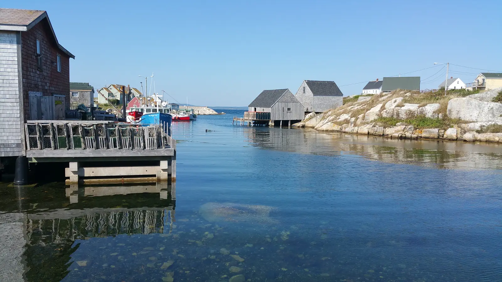 20150917_115203.jpg