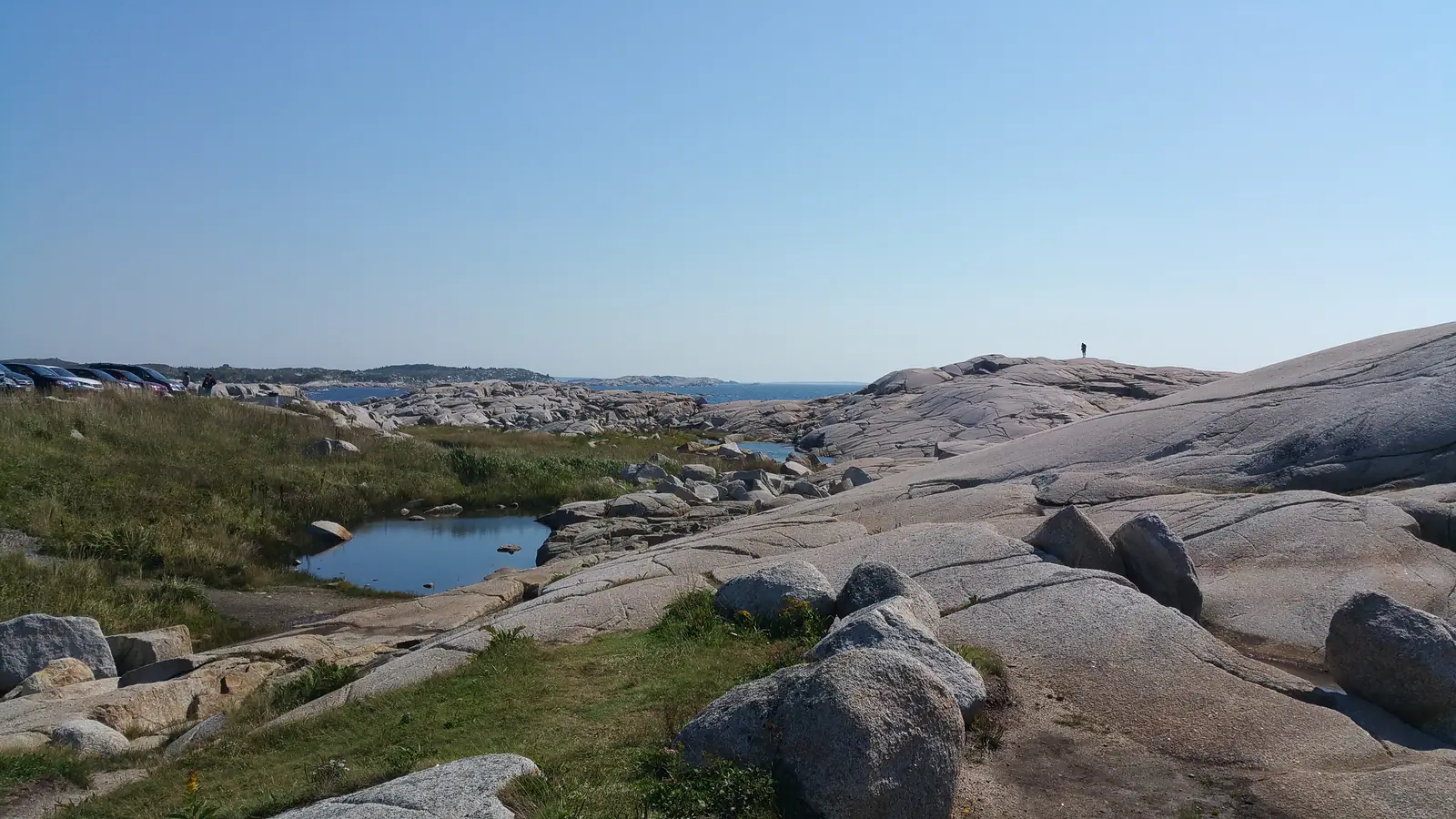 20150917_114139.jpg
