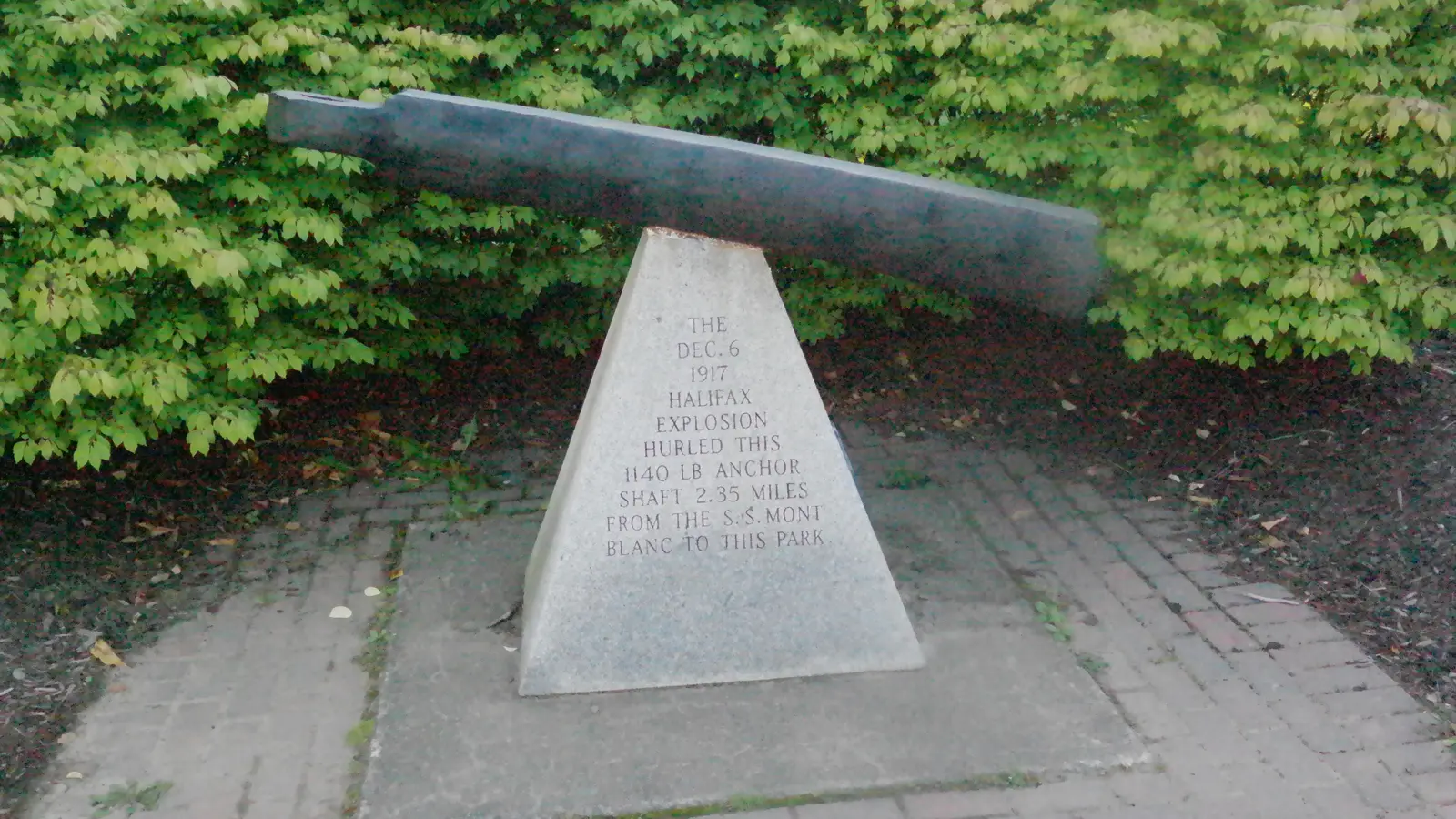 SAM_0790.JPG