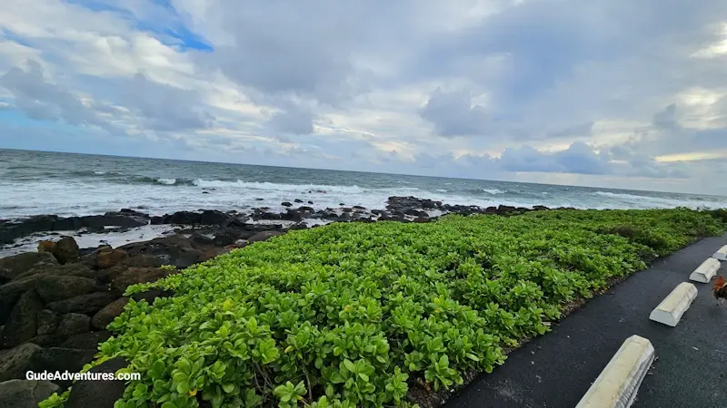 The coastline at the harbor