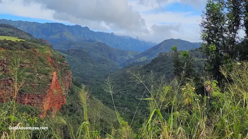 Hanapepe Valley Overlook