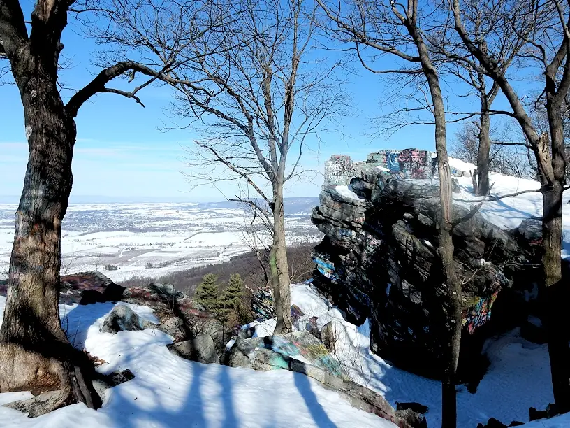 DSCN0486.webp