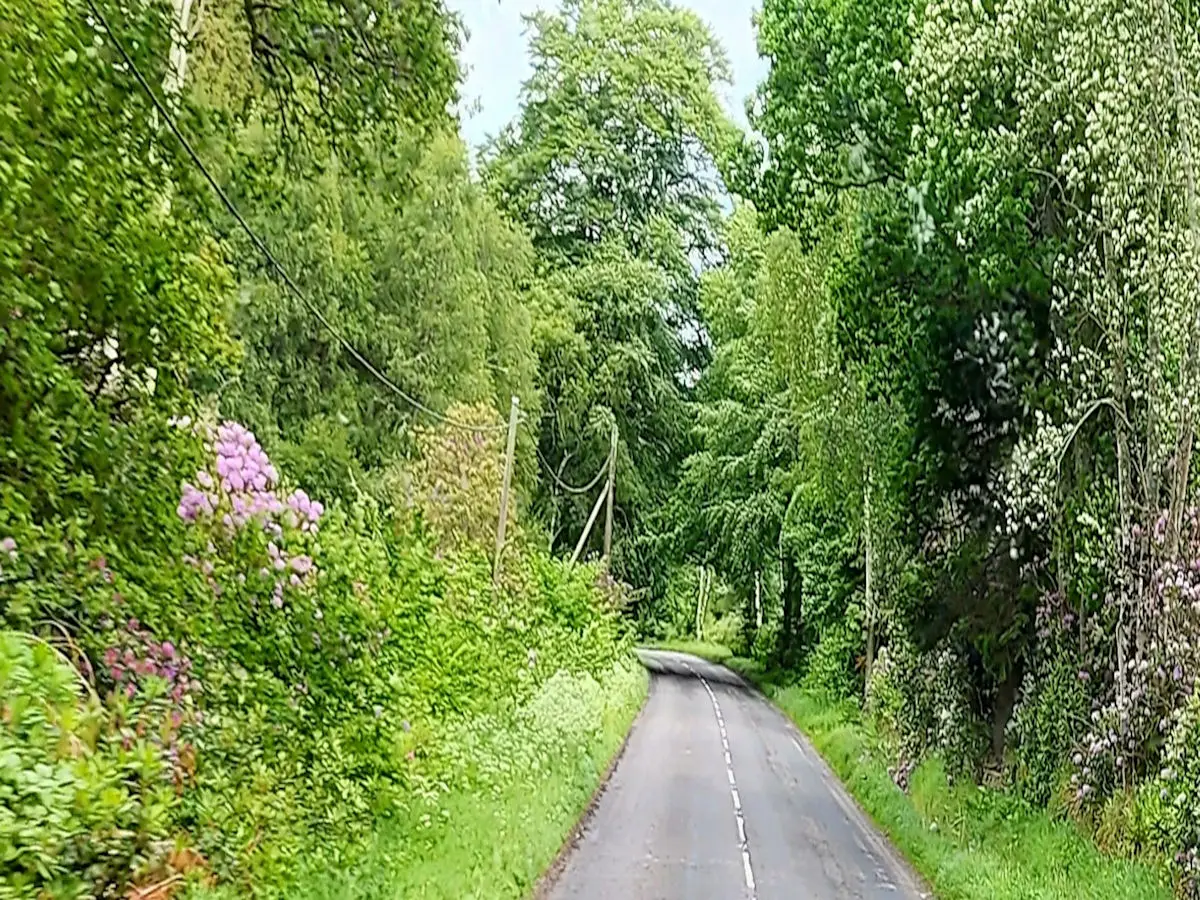 20220610_120740.jpg