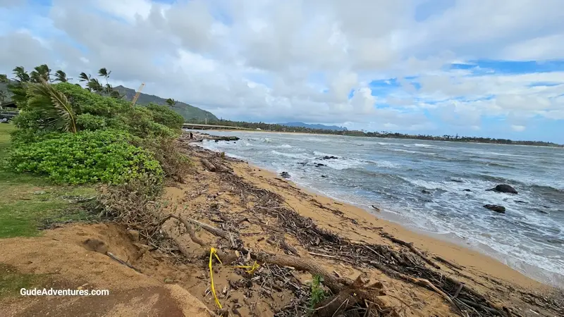 Lydgate Beach