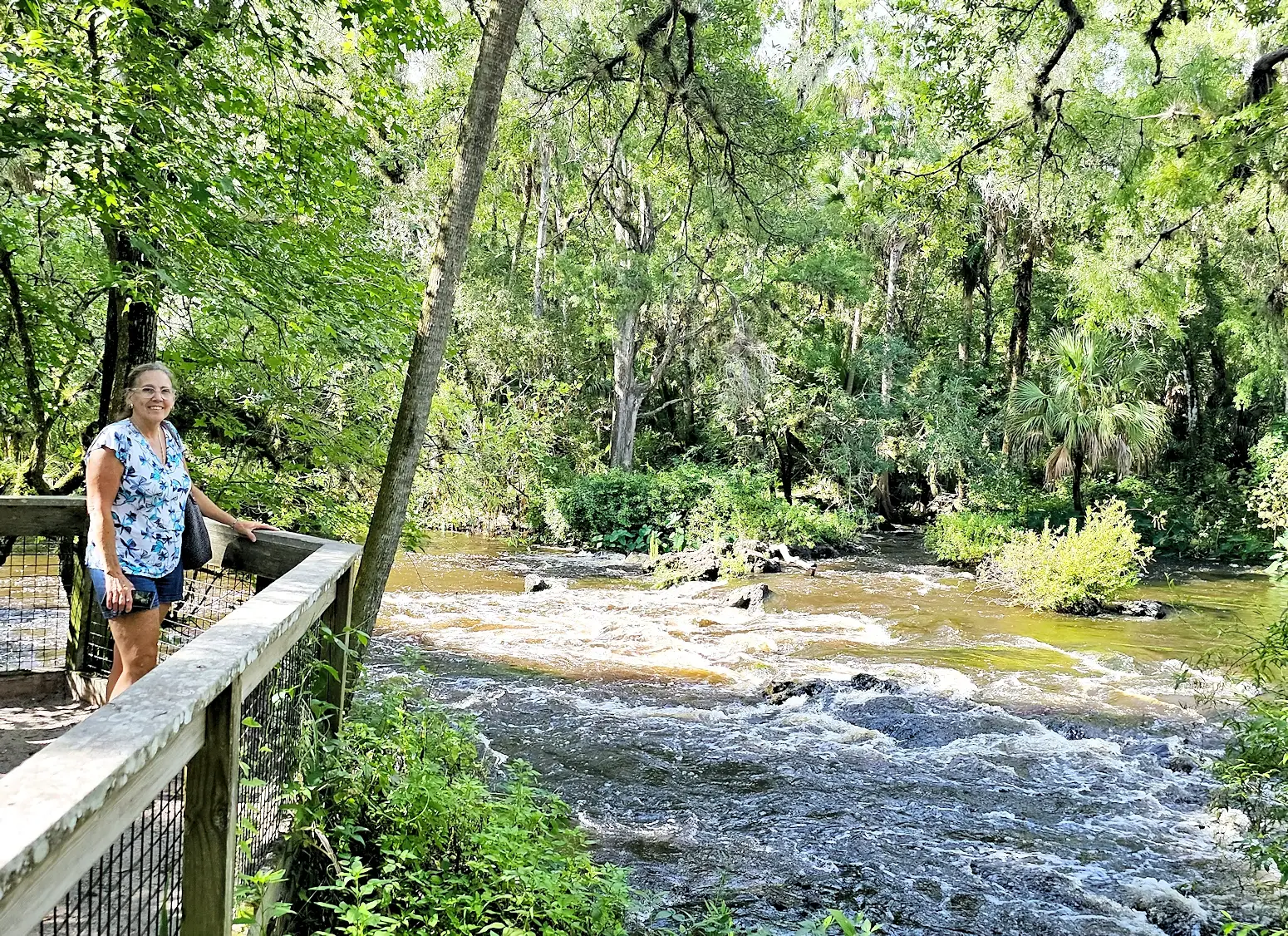 Rapids overlook in the Hillsborough River State Park