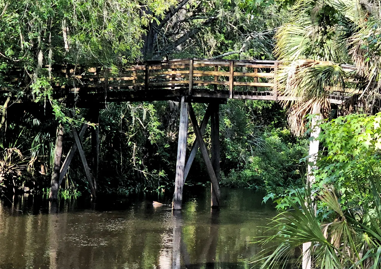 Bridge over the Hillsborough River in the park