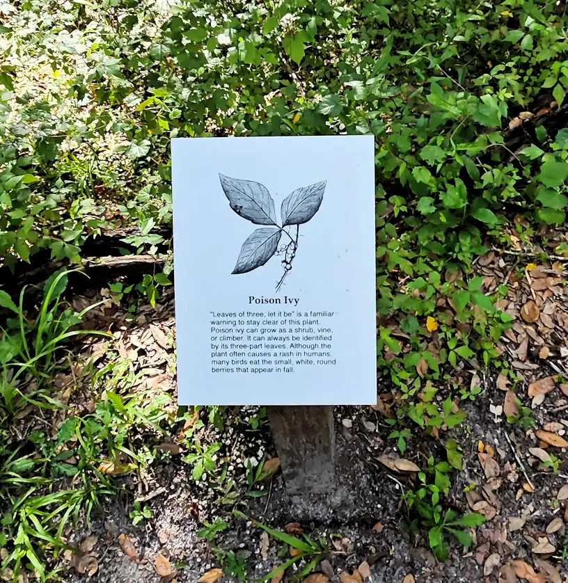 Sign along the trail in the Hillsborough River State Park
