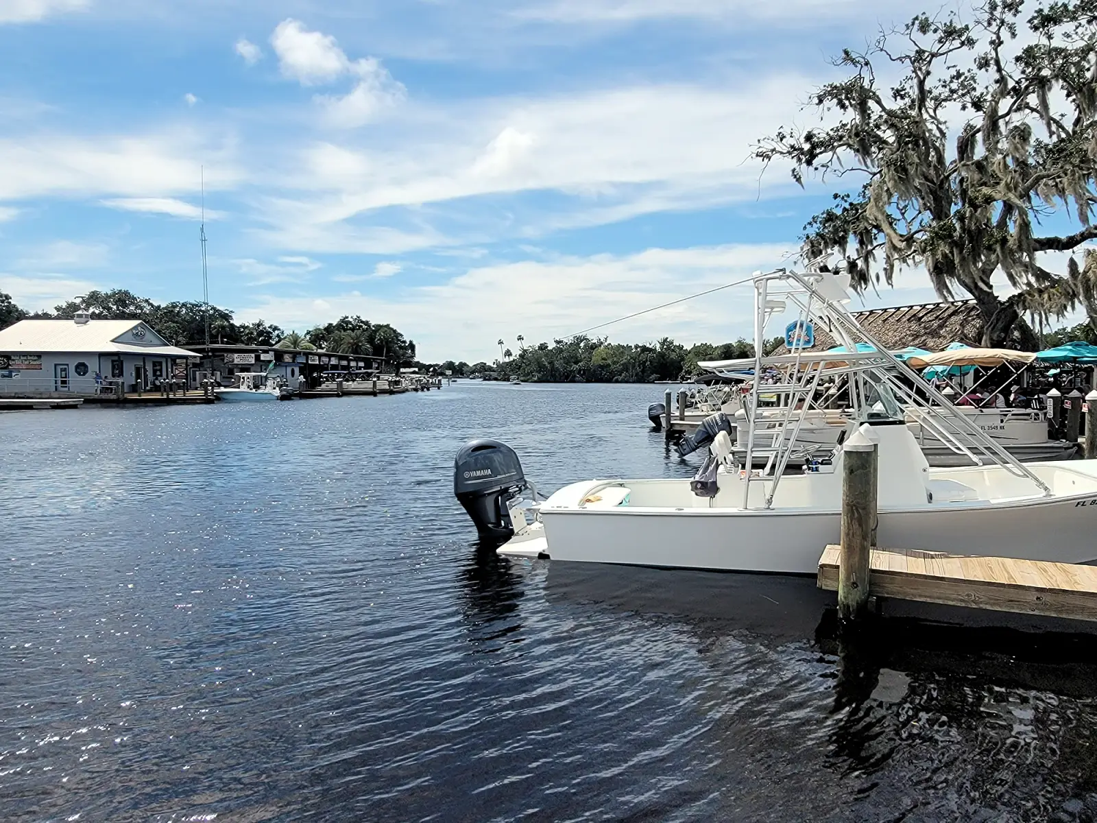 View across the river from Crumps Landing to McRae's