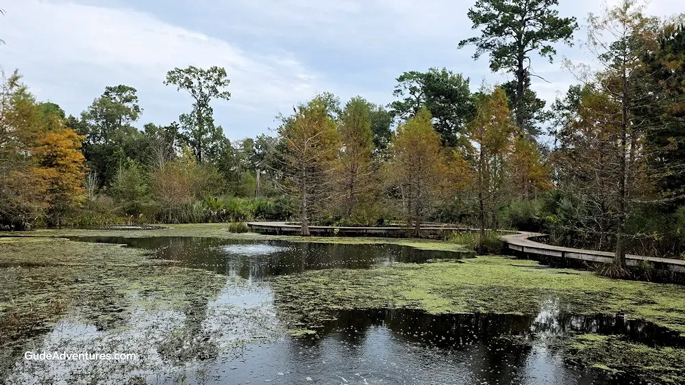 Trail in the Houston Arboretum and Nature Center