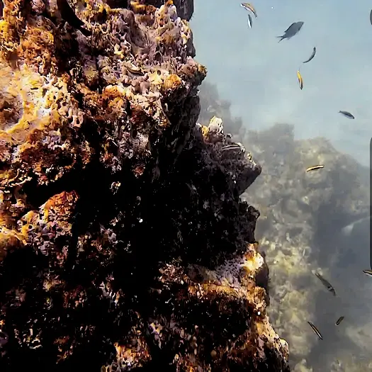 Snorkeling at Icacos Island (Cayo Icacos)