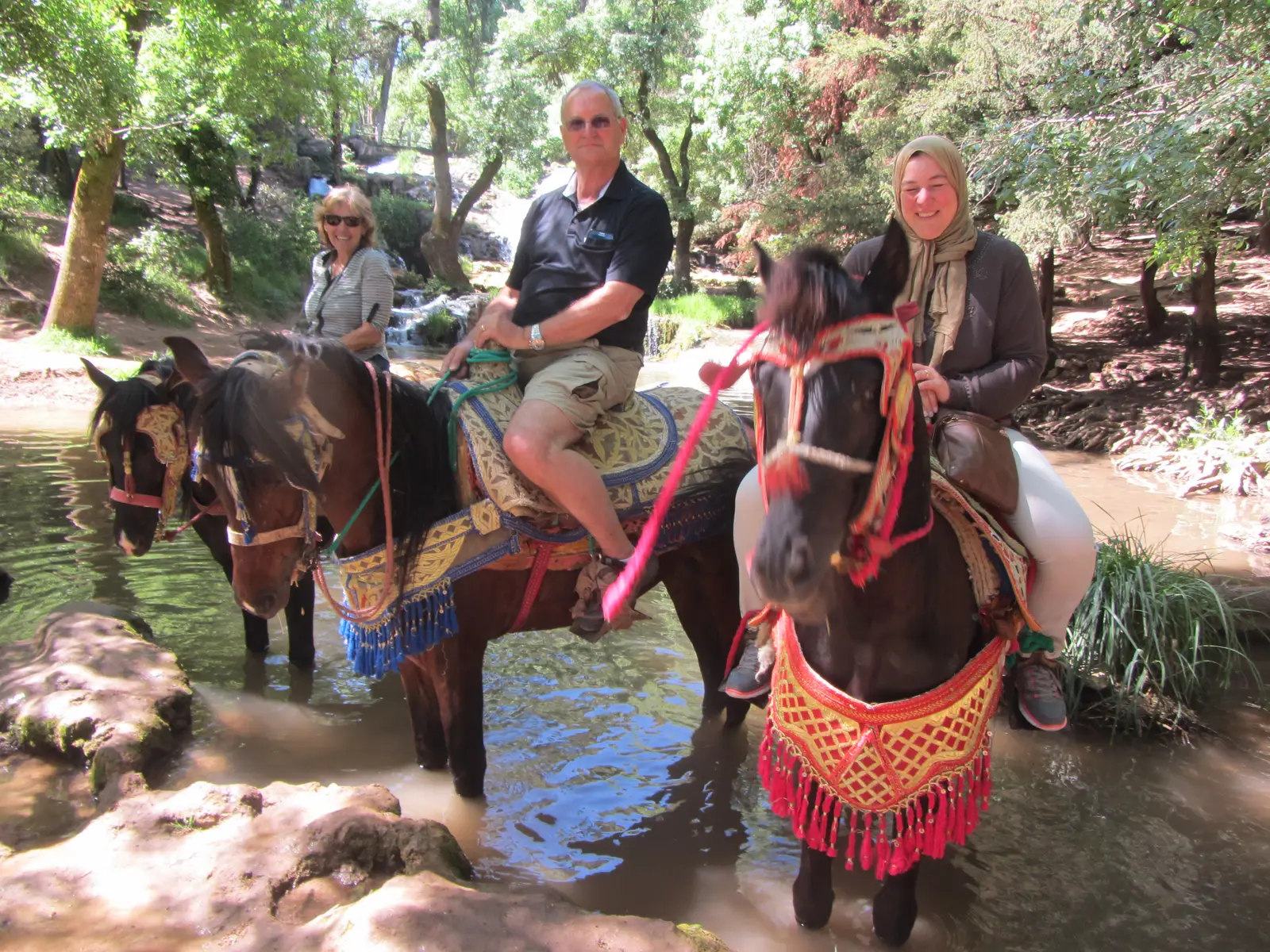 Horseback riding in the forest near Ifrane