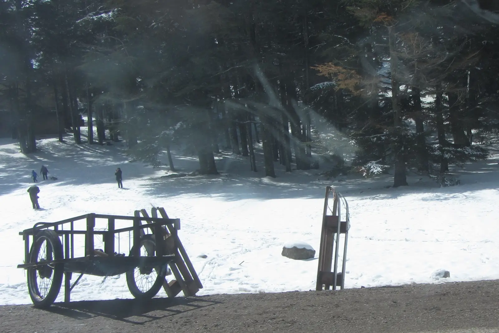Snow sleds for rent